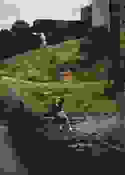 Section image