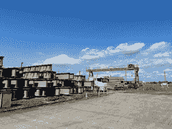 Section image