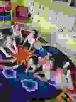 broken image