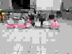 broken image