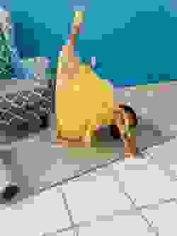 broken image