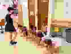 broken image