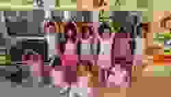 broken image