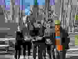 Section image