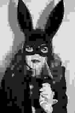 broken image