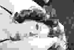 broken image