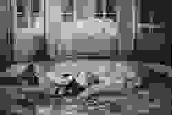 broken image