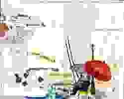 Section image