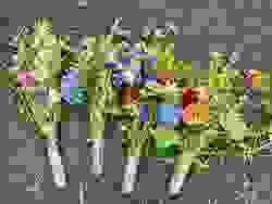 broken image