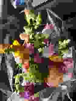 broken image