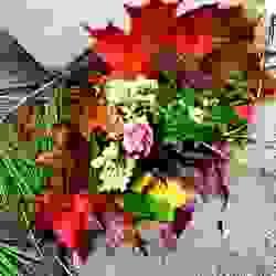 broken image