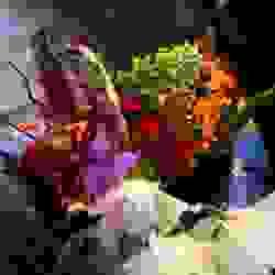 broken image