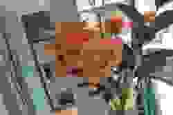 broken image