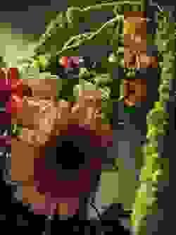 broken image