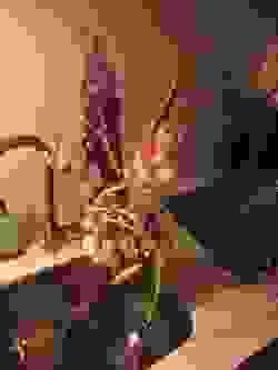 broken image
