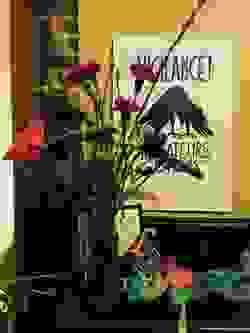 broken image