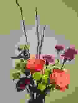 broken image