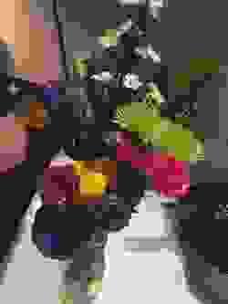 broken image