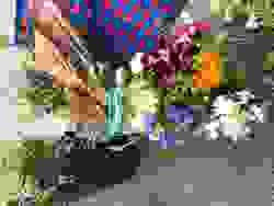broken image