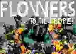 broken image