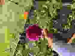 broken image