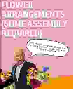 broken image