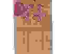broken image