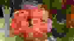 broken image