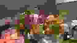 broken image