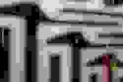 broken image