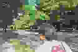 broken image