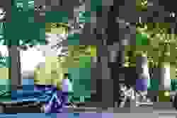 broken image