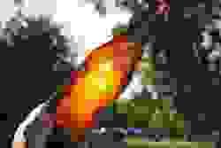 broken image