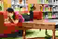 broken image