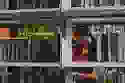 broken image