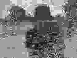 broken image