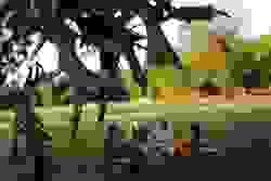 broken image