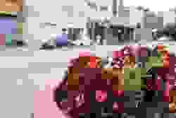 broken image