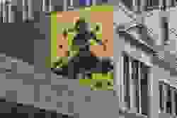 broken image