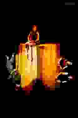 broken image