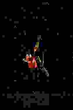 broken image