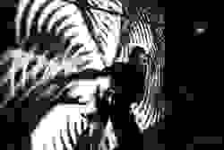 broken image