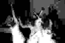broken image