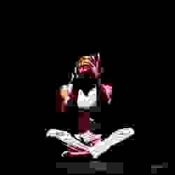 broken image
