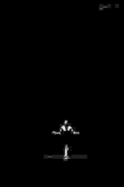 broken image