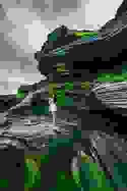 Section image