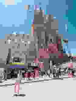 Section image