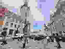 Section image