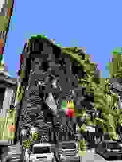 Section image