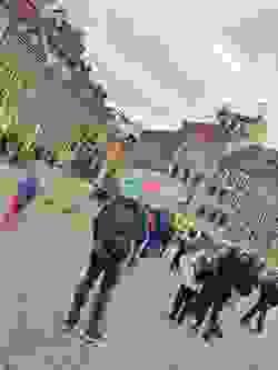 Section image